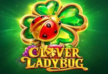 Clover Ladybug