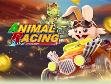 Animal Racing