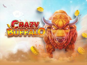 Crazy Buffalo