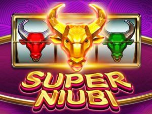 Super Niubi