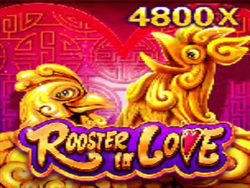 Rooster In Love