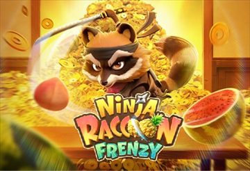 Ninja Raccoon Frenzy